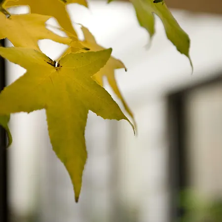 Hotel Three Crowns Prague