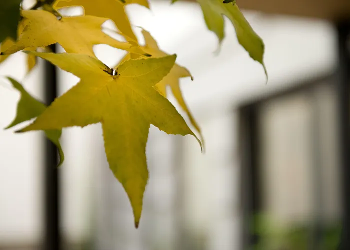 Hotel Three Crowns Praag