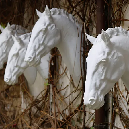 布拉格三皇冠酒店 酒店 布拉格